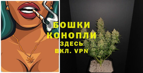 тгк Каменногорск