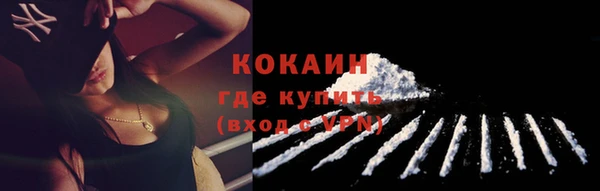тгк Каменногорск