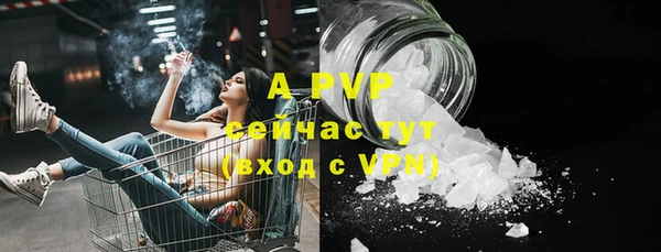 a pvp Каменка